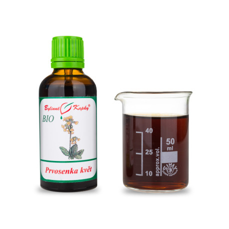 Primel Frühlingsblume BIO Tropfen (Tinktur) 50 ml