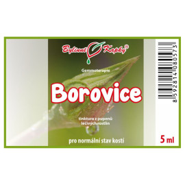 Zirbenknospen 5 ml - Gemmotherapie