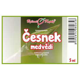 Knoblauch Bärenknospen 5 ml - Gemmotherapie