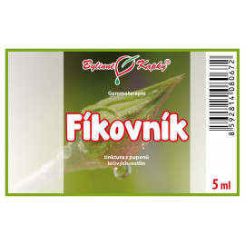 Feigenknospen 5 ml - Gemmotherapie