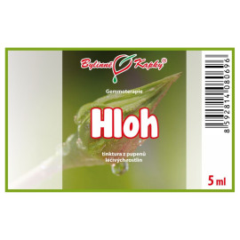 Weißdornknospen 5 ml - Gemmotherapie