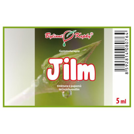 Ulmenknospen 5 ml - Gemmotherapie