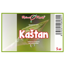 Kastanienknospen 5 ml - Gemmotherapie
