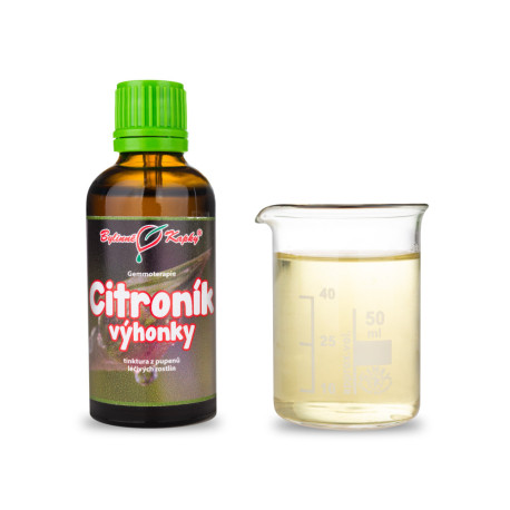 Zitronensprossen 50 ml - Gemmotherapie