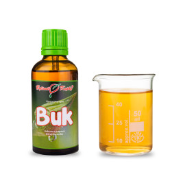 Buchenknospen 50 ml - Gemmotherapie