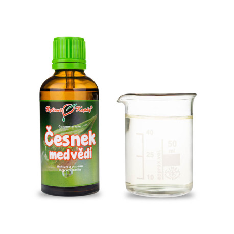 Bärlauch 50 ml - Gemmotherapie