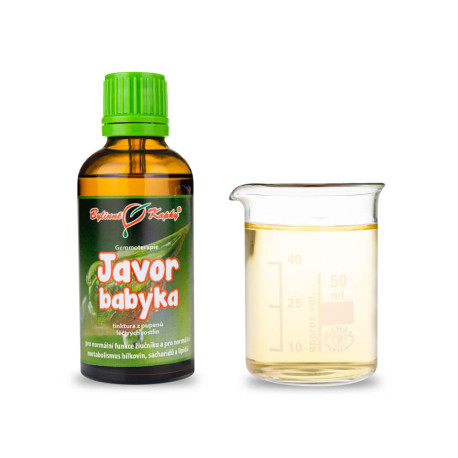 Ackerahornknospen 50 ml - Gemmotherapie