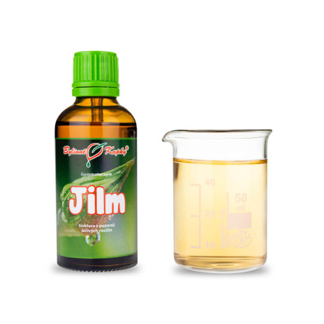 Ulmen-Ligament-Knospen 50 ml - Gemmotherapie