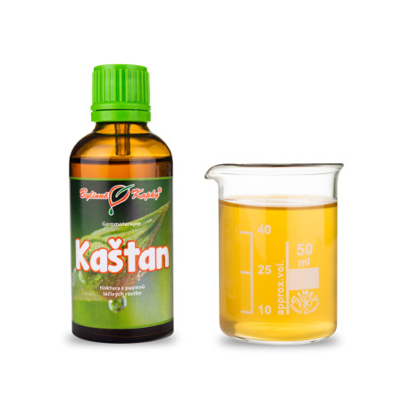 Kastanienknospen 50 ml - Gemmotherapie