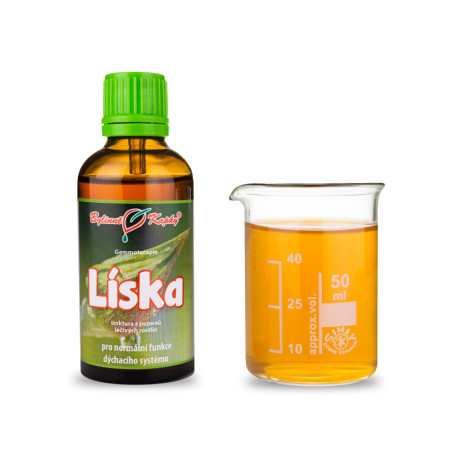 Haselnussknospen 50 ml - Gemmotherapie