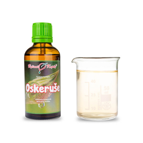 Ebereschenknospen 50 ml - Gemmotherapie