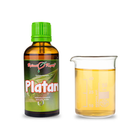 Platanenknospen 50 ml - Gemmotherapie