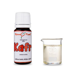 Kampfer - 100% natürliche ätherische Öle - ätherisches Öl 10 ml