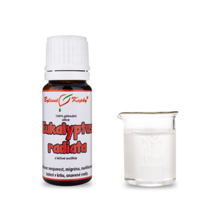Eukalyptus radiata 100% natürliche ätherische Öle - ätherisches Öl 10 ml
