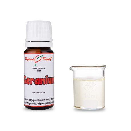 Geranie 100% natürliche ätherische Öle - ätherisches Öl 10 ml