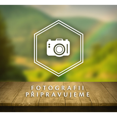 CZ BOX Tribulus Fruchtpulver BIO 15 x 100 g