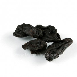 Garcinia Frucht - Garcinia Kambodscha - 500g ganz