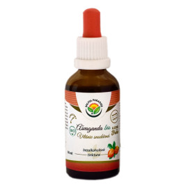 Ashwagandha – Willkommen AF Tinkture BIO 50 ml