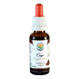 Chaga – Schnittschnitt AF-Tinktur 30ml