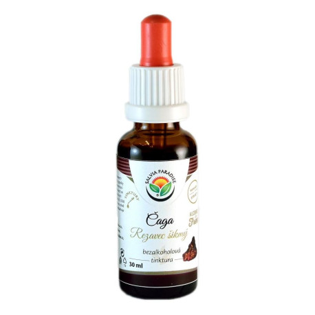 Chaga – Schnittschnitt AF-Tinktur 30ml