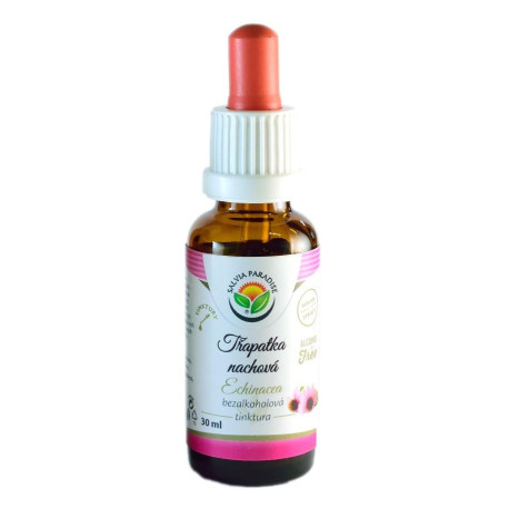 Echinacea – Coneflower Purple AF Tinktur 30ml