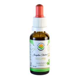 Jiaogulan Thailand AF-Tinktur 30 ml