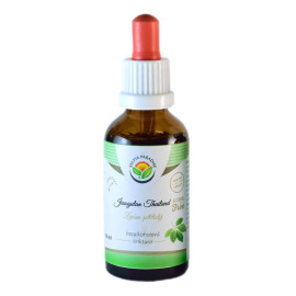 Jiaogulan Thailand AF Tinktur 50 ml