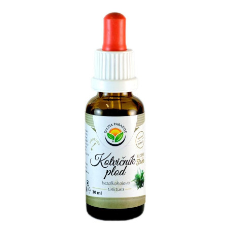 Tribulus Frucht AF Tinktur 30 ml