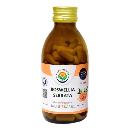 Boswellia serrata – Weihrauchkapseln 120 Stück