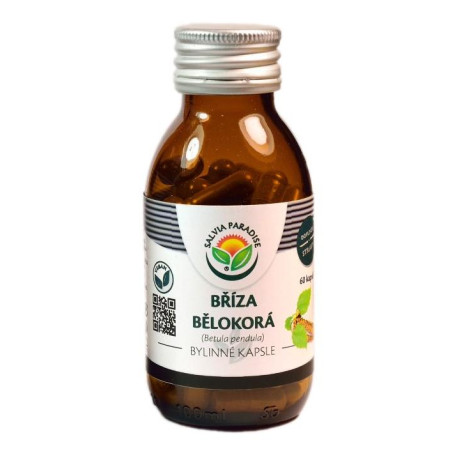 Weißbirkenkapsel 60 Stück