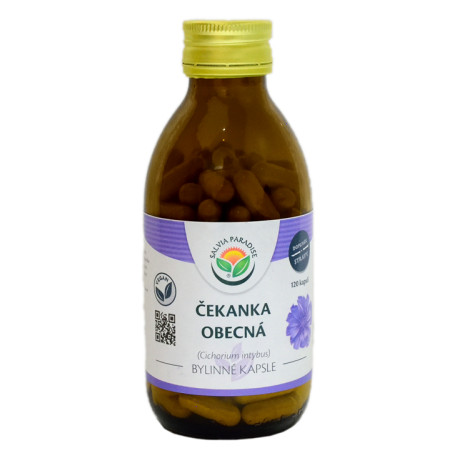 Zichoreekapseln 120 Stück