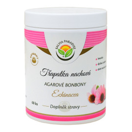 Echinacea – lila Conesalt-Agar-Bonbons 60 Stück