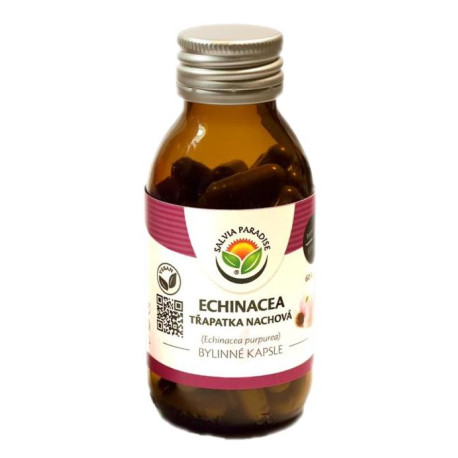Echinacea – lila Sonnenhutkapseln 60 Stück