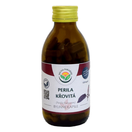 Perilla-Strauchkapsel 120 Stücke