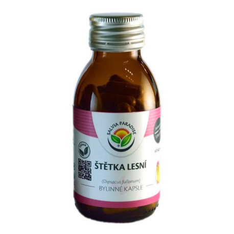 Waldkapselbürste 60 Stück