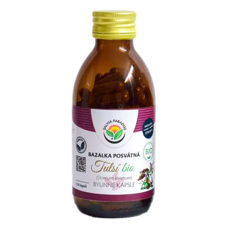 Tulsi – heilige Basilikumkapsel BIO 120 Stücke