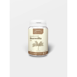 Boswellia 100 Kapseln x 500 mg - 100