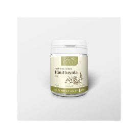 Houttuynia 100 Kapseln x 250 mg - 100