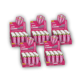 4x CarniShot 3000 20x60ml + 1x KOSTENLOS – Mango