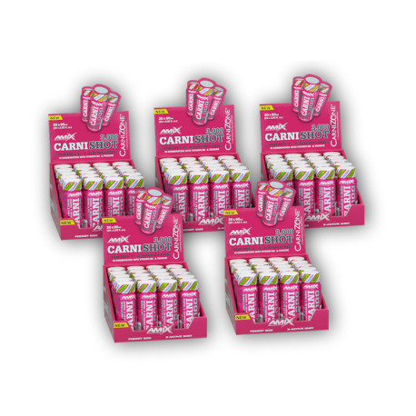 4x CarniShot 3000 20x60ml + 1x KOSTENLOS – Mango