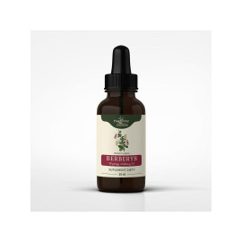 Berberis-Tinktur 1:1 50ml - 50ml