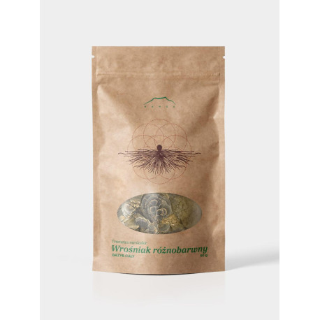 Mehrfarbiger Phregnum-Pilz – 50 g Schnitt