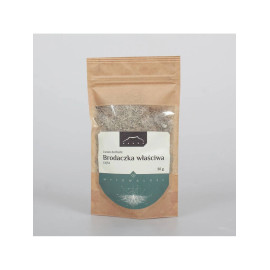 Usnea - fúzatá - 50g strihaná