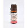 Flüssiger Ginkgo-Biloba-Extrakt – 10 ml