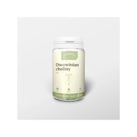 Cholinbitartrat 100 Kapseln x 500 mg - 100