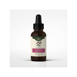 Echinacea angustifolia Tinktur 1:1 50 ml - 50 ml