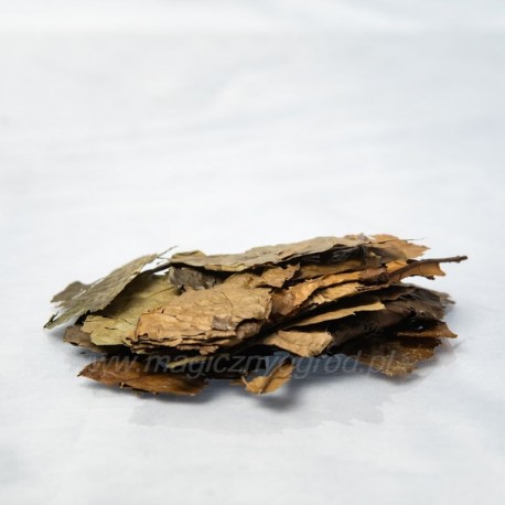 Ilex guayusa Blatt - 25g ganz