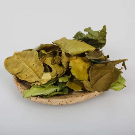 Zitronenbaum - Blatt - Kaffir - Zitrus-Hystrix - 25g