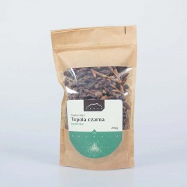 Schwarzpappel - Populus nigra - 250g Knospen