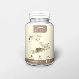 Chaga - Inonotus obliquus - Extrakt (100 Kapseln x 300mg)